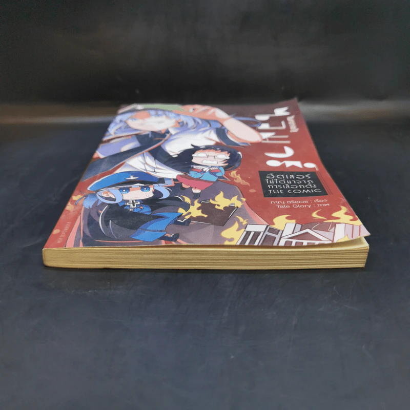 ในสาธารณรัฐไวมาร์ ฮิตเลลอร์ไม่ได้มาจากการเลือกตั้ง The Comic - ภาณุ ตรัยเวช รูปที่ 4
