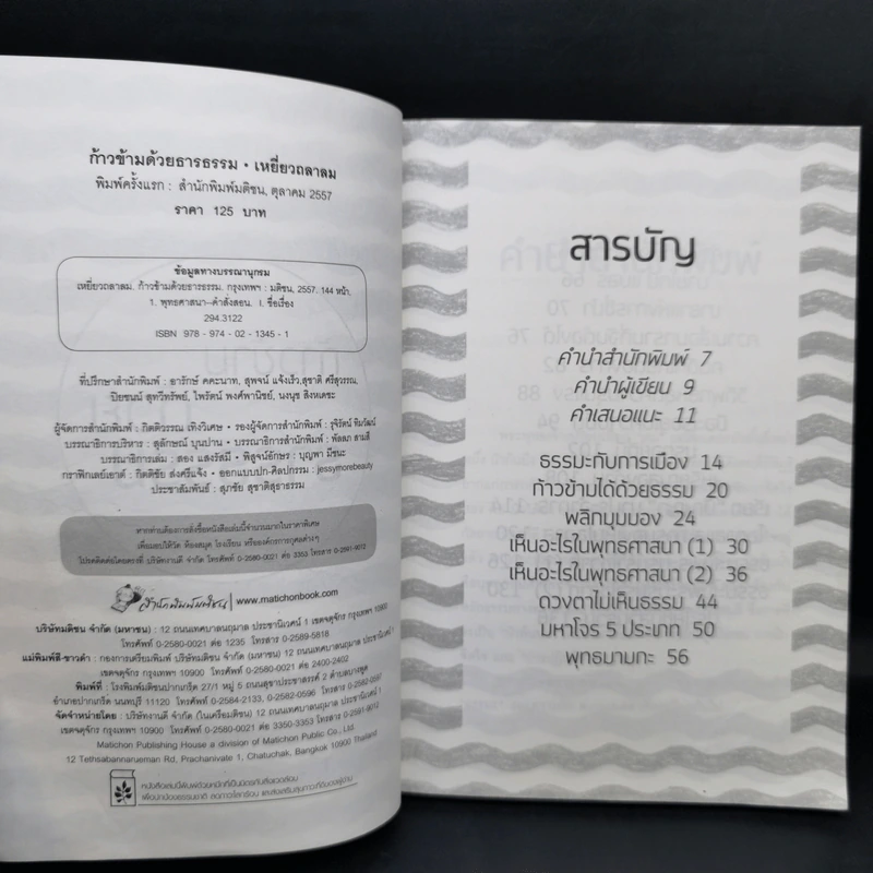 ก้าวข้ามด้วยธารธรรม - เหยี่ยวถลาลม รูปที่ 9
