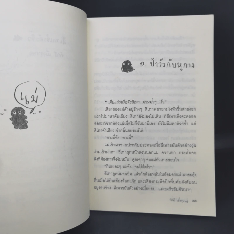 สีเทาเจ้าตัวจิ๋ว - รัศมี เบื่อขุนทด รูปที่ 10