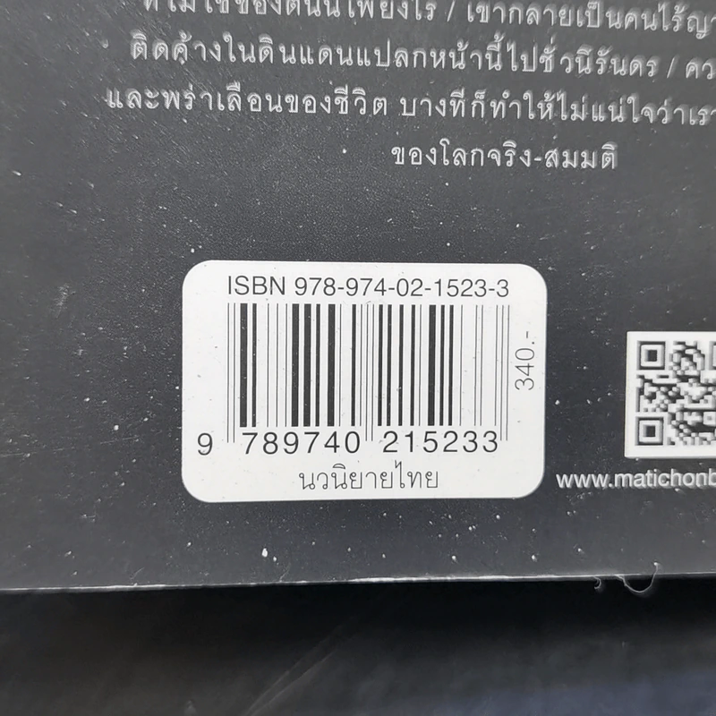 พุทธศักราชอัสดงกับทรงจำของทรงจำของแมวกุหลาบดำ - วีรพร นิติประภา รูปที่ 13