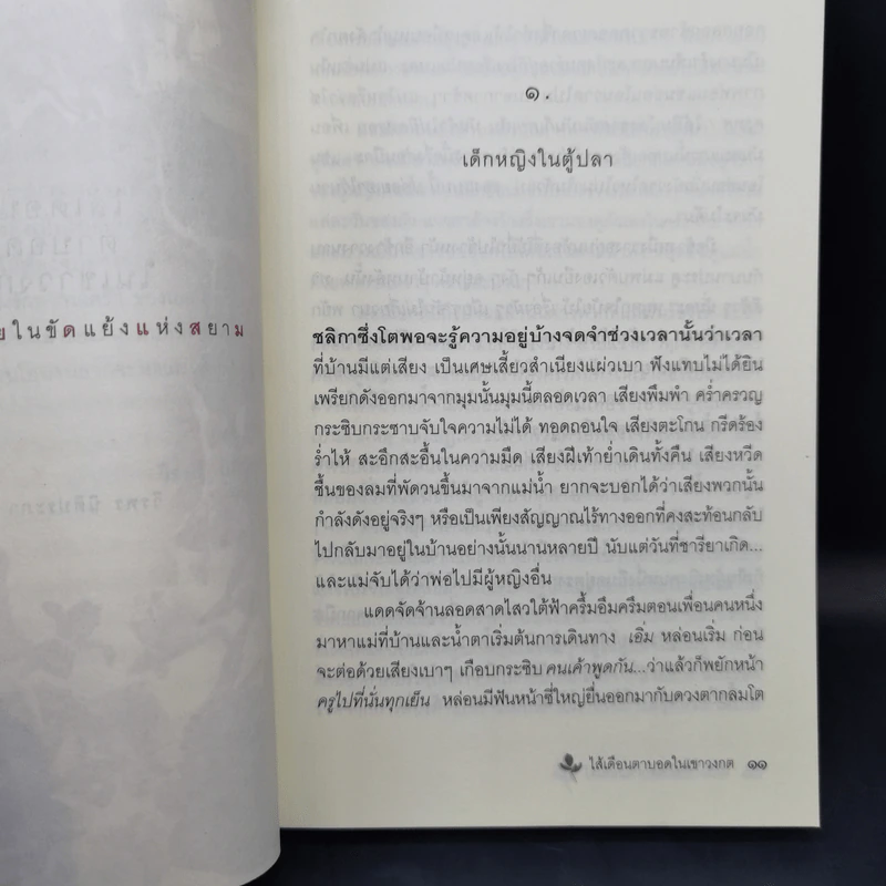 ไส้เดือนตาบอดในเขาวงกต - วีรพร นิติประภา รูปที่ 11