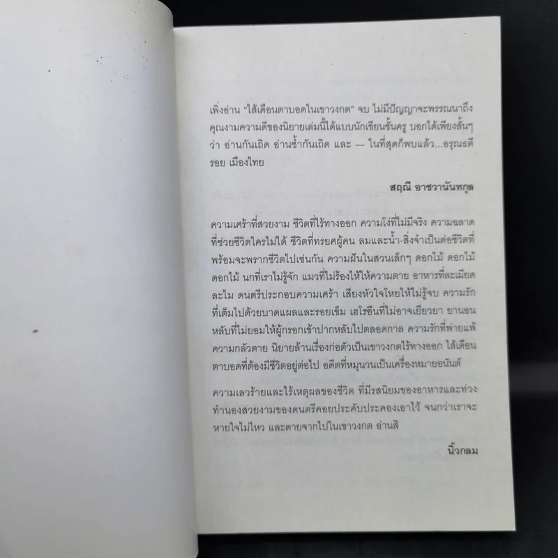 ไส้เดือนตาบอดในเขาวงกต - วีรพร นิติประภา รูปที่ 8