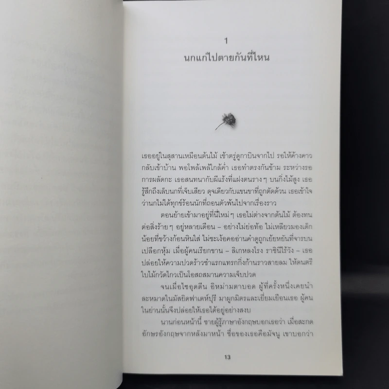 The Ministry of Utmost Happiness กระทรวงสุขสุดๆ -Arundhati Roy รูปที่ 11