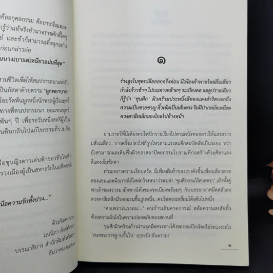 มุนี - ภูเตศวร รูปที่ 9