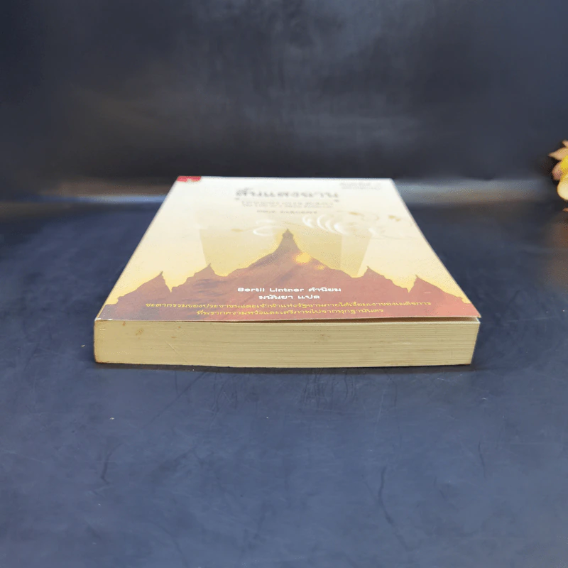 สิ้นแสงฉาน แปลจากเรื่อง Twilight Over Burma - มนันยา รูปที่ 4