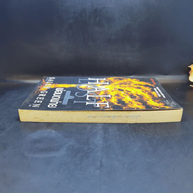 Half Lost พ่อมดพ่าย : สายเลือดปีศาจ เล่ม 3 - Sally Green (แซลลี กรีน) รูปที่ 5