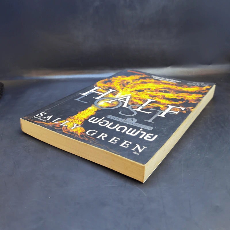 Half Lost พ่อมดพ่าย : สายเลือดปีศาจ เล่ม 3 - Sally Green (แซลลี กรีน) รูปที่ 7