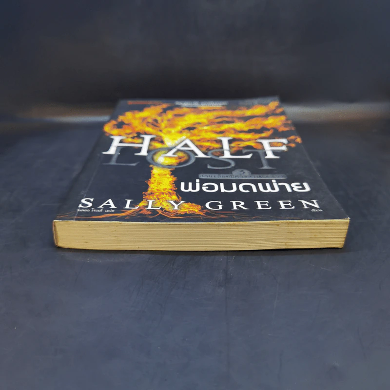 Half Lost พ่อมดพ่าย : สายเลือดปีศาจ เล่ม 3 - Sally Green (แซลลี กรีน) รูปที่ 4
