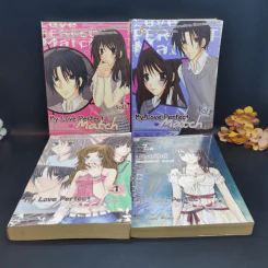 My Love Perfect Match Vol.1-2 + Part 2 Vol.1-2 ขายรวม 4 เล่ม - My Lady Ping รูปที่ 1