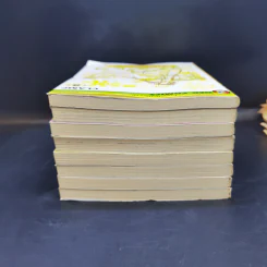 ดิจิทัลเลดี้ 8 เล่มจบ - Clamp รูปที่ 5