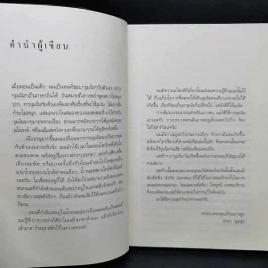 เด็กชายธรรมดาในดินแดนแห่งเวทมนตร์ - สาคร พูลสุข รูปที่ 10