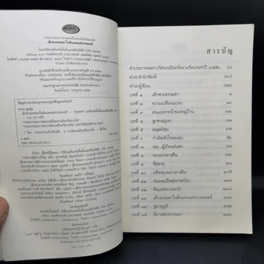 เด็กชายธรรมดาในดินแดนแห่งเวทมนตร์ - สาคร พูลสุข รูปที่ 9