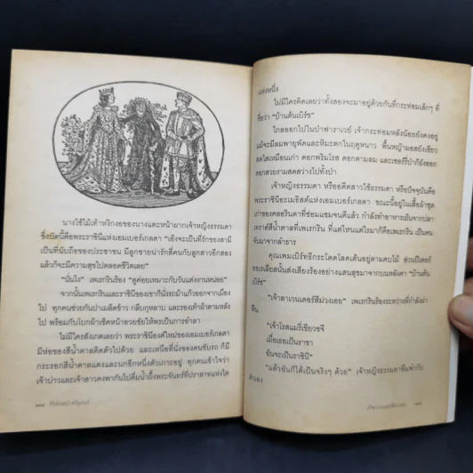 เจ้าลาเวนเดอร์สีม่วงเอย The Ordinary Princess - M.M.Kaye รูปที่ 12