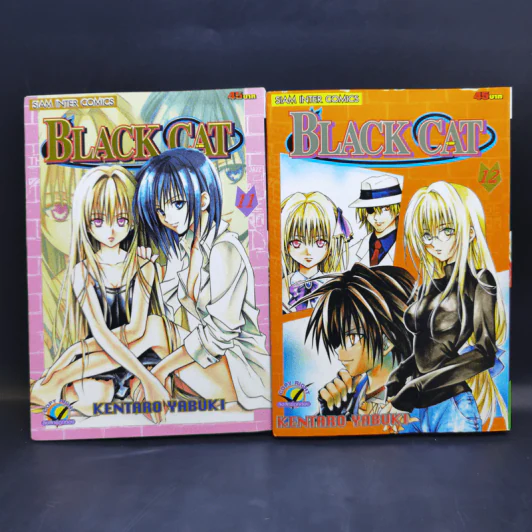 Black Cat 20 เล่มจบ - Kentaro Yabuki รูปที่ 12