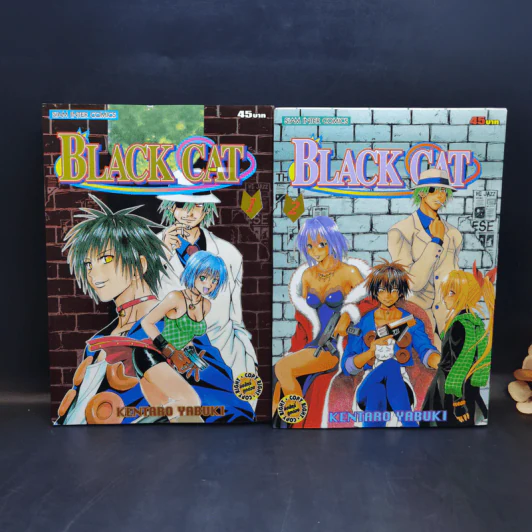 Black Cat 20 เล่มจบ - Kentaro Yabuki รูปที่ 7
