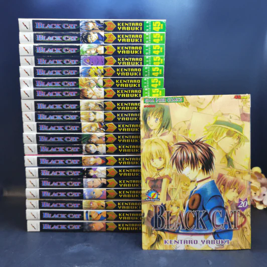Black Cat 20 เล่มจบ - Kentaro Yabuki รูปที่ 1