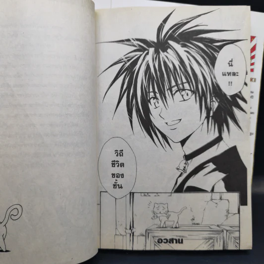 Black Cat 20 เล่มจบ - Kentaro Yabuki รูปที่ 21