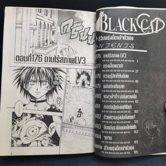 Black Cat 20 เล่มจบ - Kentaro Yabuki รูปที่ 19