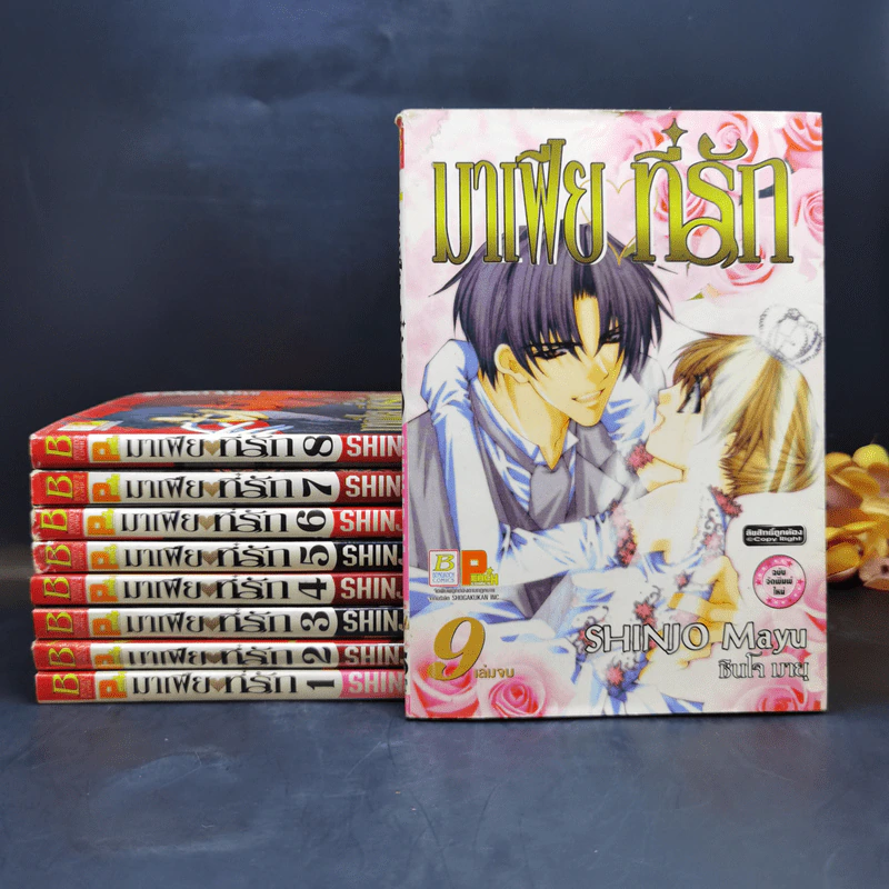 มาเฟียที่รัก 9 เล่มจบ - Shinjo Mayu รูปที่ 1