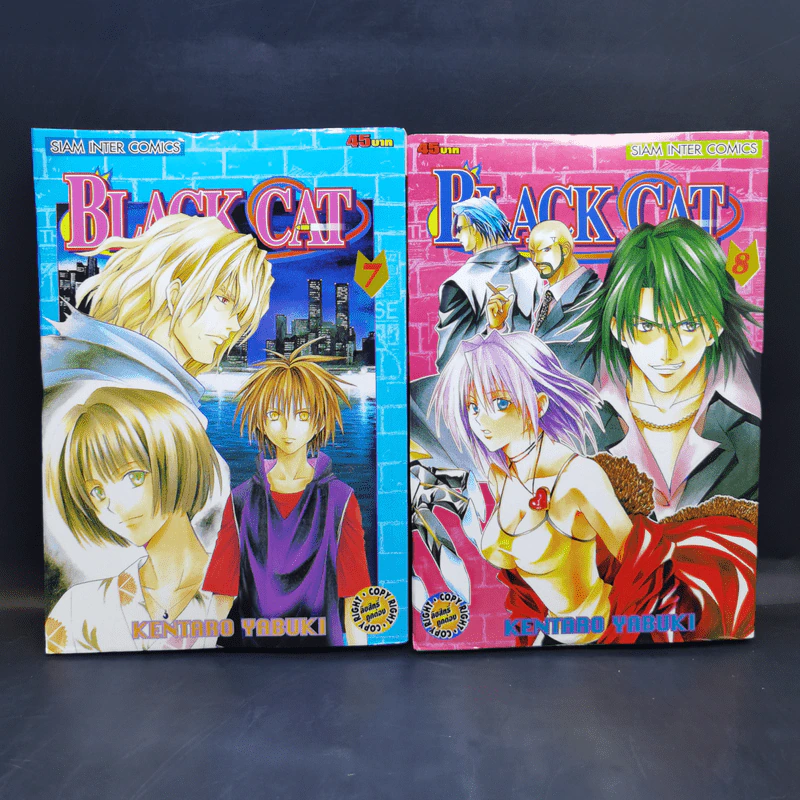 Black Cat 20 เล่มจบ - Kentaro Yabuki รูปที่ 10