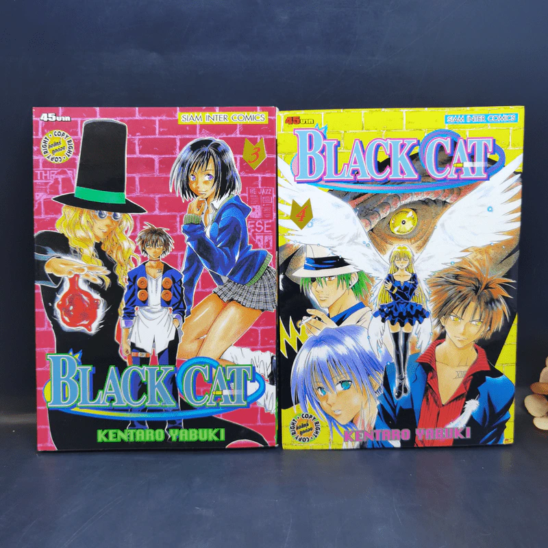 Black Cat 20 เล่มจบ - Kentaro Yabuki รูปที่ 8