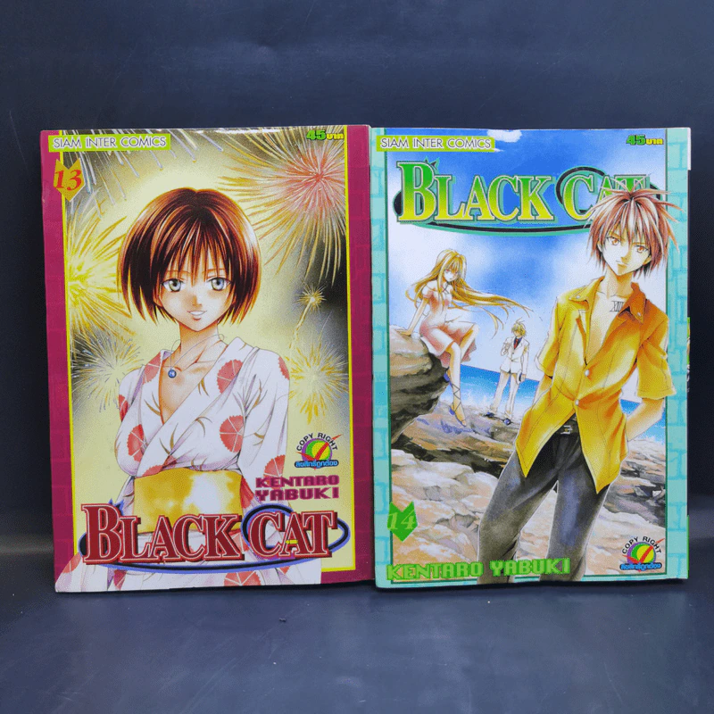 Black Cat 20 เล่มจบ - Kentaro Yabuki รูปที่ 13