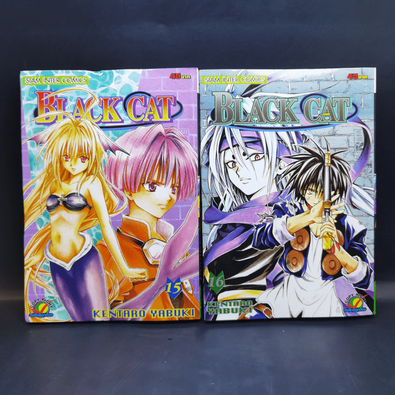 Black Cat 20 เล่มจบ - Kentaro Yabuki รูปที่ 14