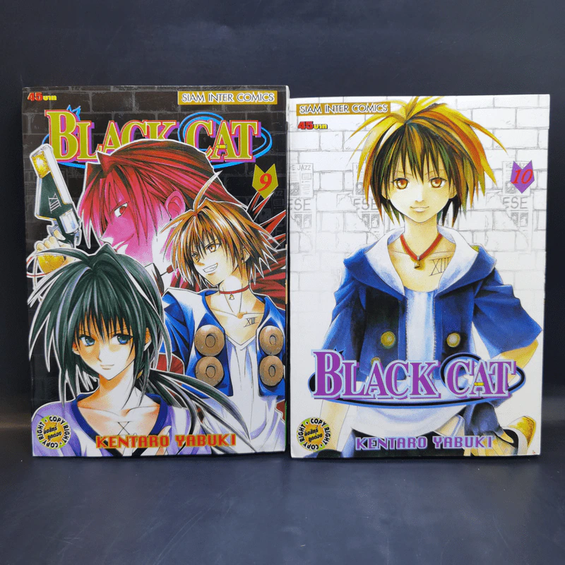 Black Cat 20 เล่มจบ - Kentaro Yabuki รูปที่ 11