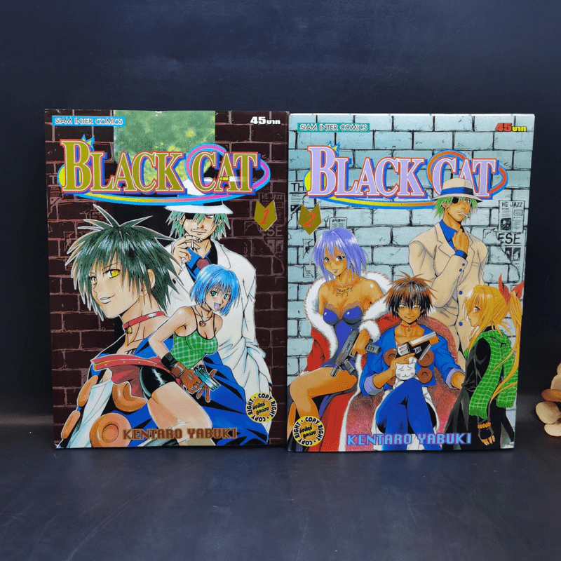 Black Cat 20 เล่มจบ - Kentaro Yabuki รูปที่ 7