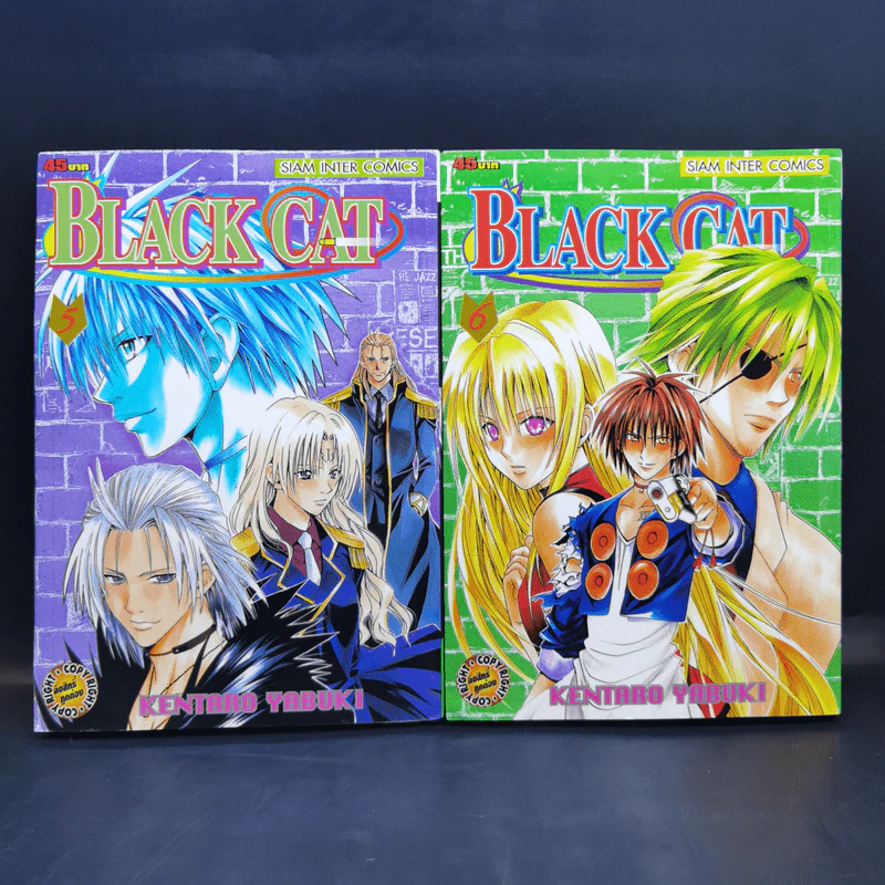 Black Cat 20 เล่มจบ - Kentaro Yabuki รูปที่ 9
