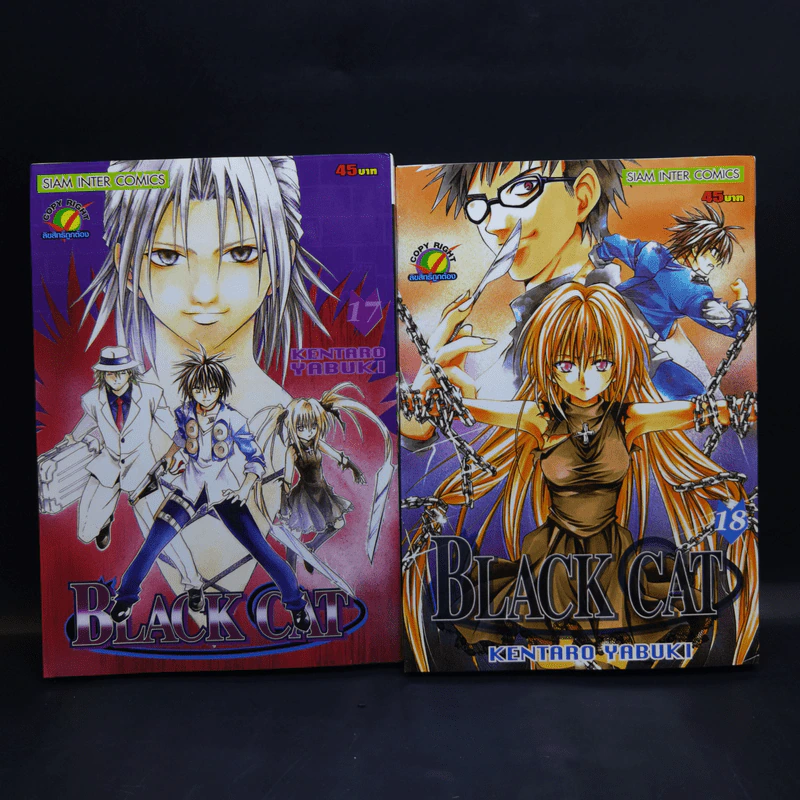 Black Cat 20 เล่มจบ - Kentaro Yabuki รูปที่ 15