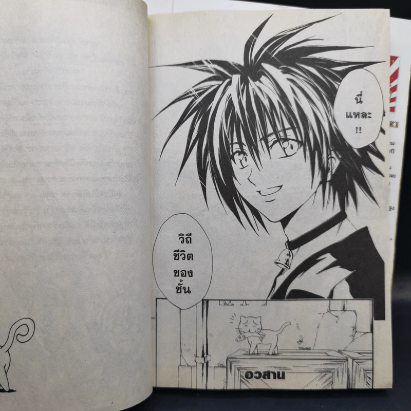 Black Cat 20 เล่มจบ - Kentaro Yabuki รูปที่ 21