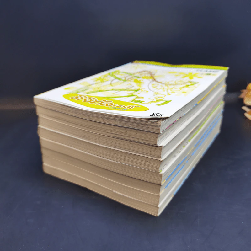 ดิจิทัลเลดี้ 8 เล่มจบ - Clamp รูปที่ 6