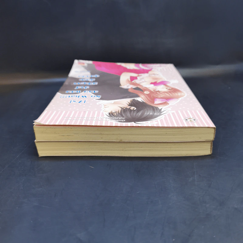 นิยายแจ่มใส [7's] Beauty and Crazy Prince สวยเริดเชิดใส่ เจ้าชายเอาแต่ใจ + So What!!! สวย แสบ ซ่าส์ มีปัญหามั้ยคะสุดหล่อ - แสตมป์เบอรี่ รูปที่ 6
