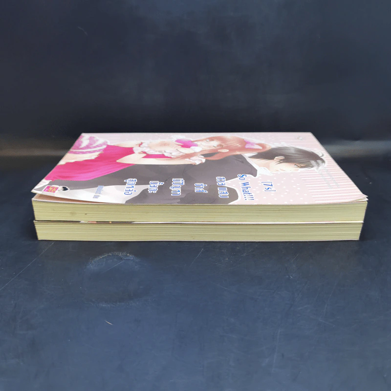 นิยายแจ่มใส [7's] Beauty and Crazy Prince สวยเริดเชิดใส่ เจ้าชายเอาแต่ใจ + So What!!! สวย แสบ ซ่าส์ มีปัญหามั้ยคะสุดหล่อ - แสตมป์เบอรี่ รูปที่ 5