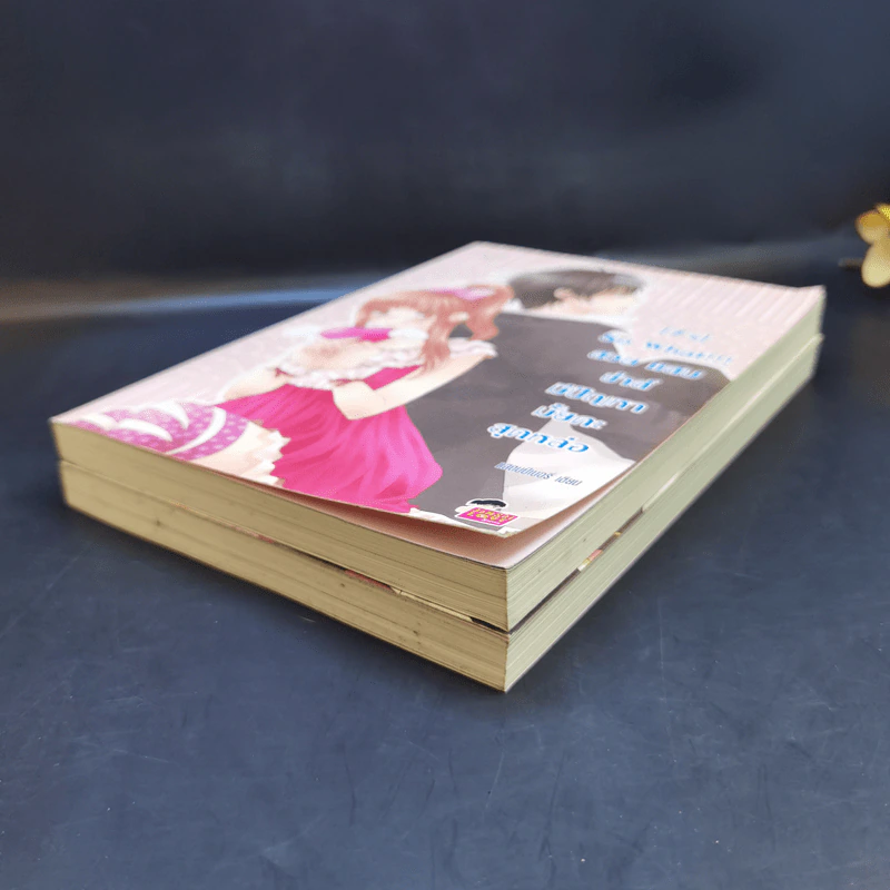 นิยายแจ่มใส [7's] Beauty and Crazy Prince สวยเริดเชิดใส่ เจ้าชายเอาแต่ใจ + So What!!! สวย แสบ ซ่าส์ มีปัญหามั้ยคะสุดหล่อ - แสตมป์เบอรี่ รูปที่ 7