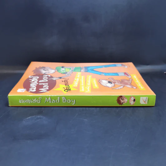 เมดเล่ย์ Mad Boy - ว.แหวน รูปที่ 3