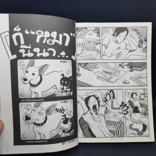 การ์ตูนหน้าพระลาน ฉบับพิเศษ รูปที่ 11