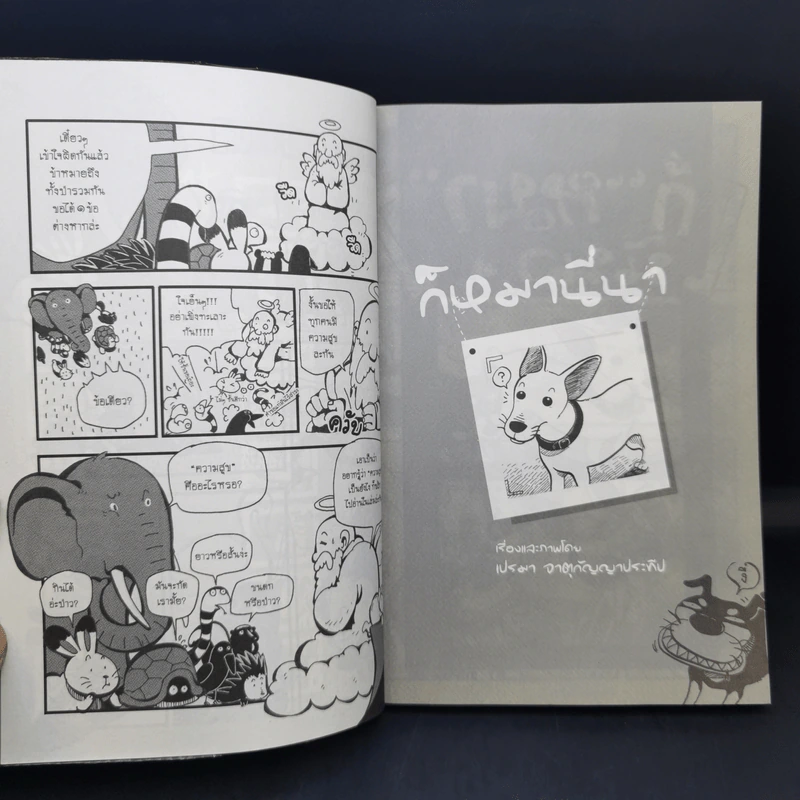 การ์ตูนหน้าพระลาน ฉบับพิเศษ รูปที่ 10