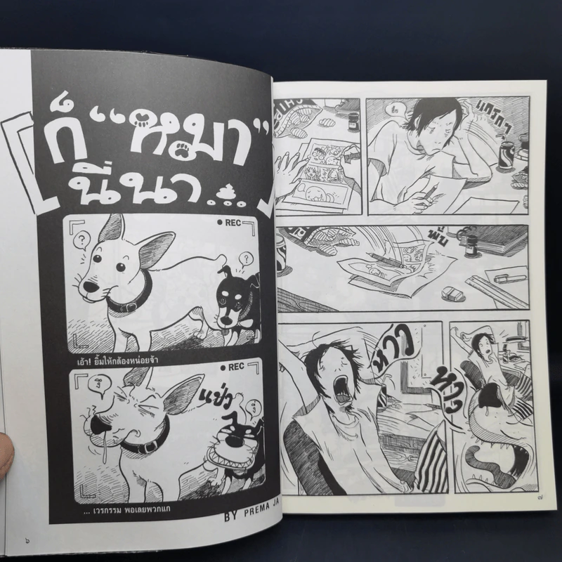 การ์ตูนหน้าพระลาน ฉบับพิเศษ รูปที่ 11