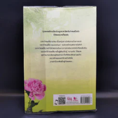 ลำนำจอมนาง - นาย่า รูปที่ 2