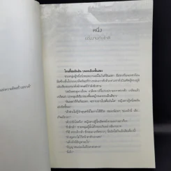 ซานหวางเฟย พระชายาตัวป่วน - Ana K. รูปที่ 9