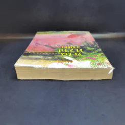 ซานหวางเฟย พระชายาตัวป่วน - Ana K. รูปที่ 6