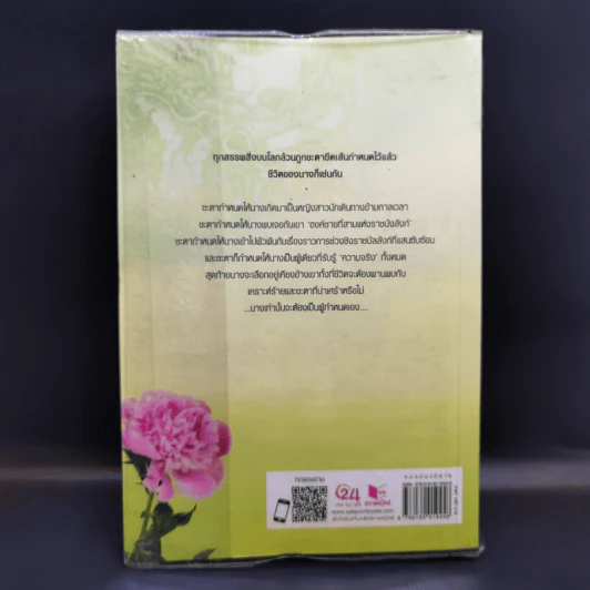 ลำนำจอมนาง - นาย่า รูปที่ 2