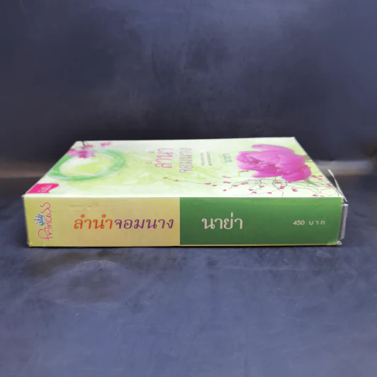 ลำนำจอมนาง - นาย่า รูปที่ 3