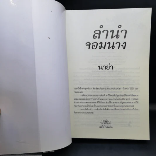 ลำนำจอมนาง - นาย่า รูปที่ 8