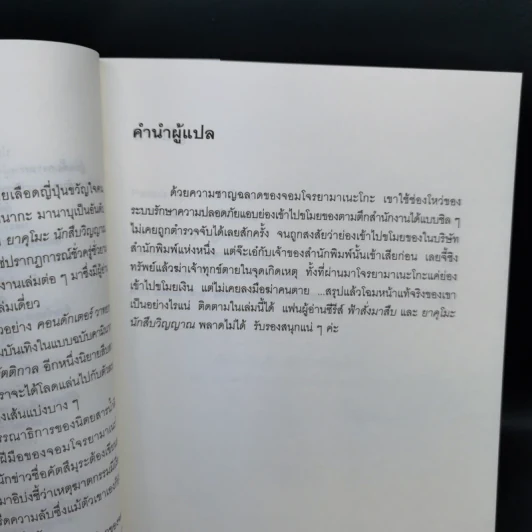 ยามาเนะโกะ จอมโจรรัตติกาล - คามินากะ มานาบุ รูปที่ 9
