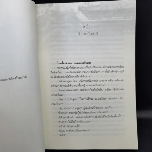 ซานหวางเฟย พระชายาตัวป่วน - Ana K. รูปที่ 9
