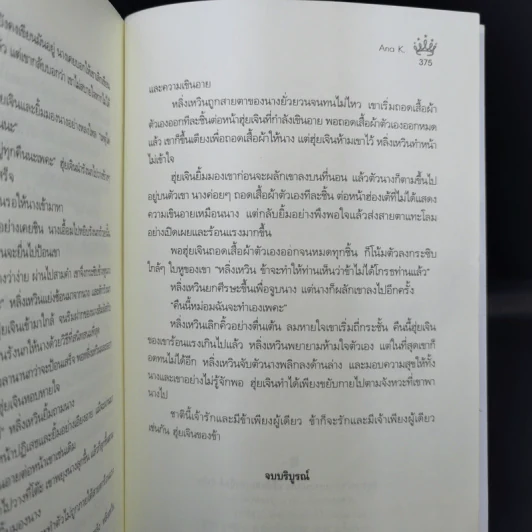ซานหวางเฟย พระชายาตัวป่วน - Ana K. รูปที่ 10