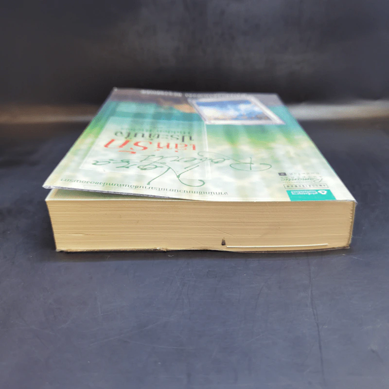 เล่ห์รักประดับใจ Hidden Riches - นอร่า โรเบิร์ตส์ (Nora Roberts) รูปที่ 6